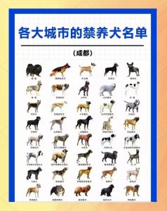 国家有规定小区不准养狗吗，禁养犬登记规定及处理办法