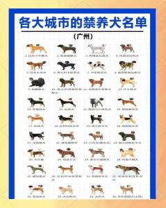 那三个生肖不能养狗狗，养狗看缘分？生肖影响大不大？