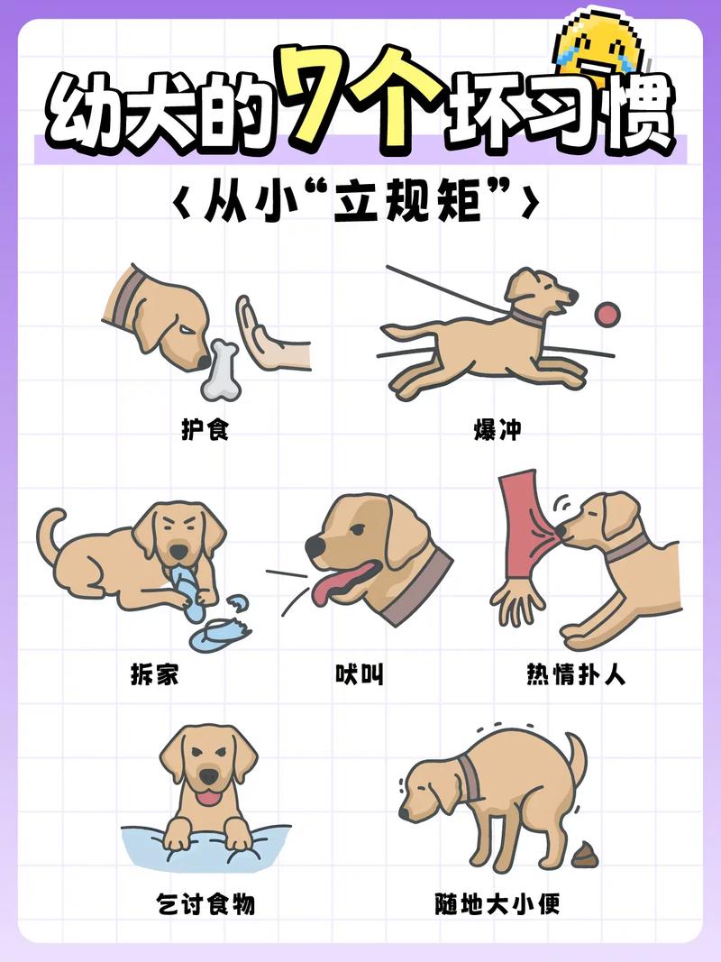 贱狗向主人磕头请安流程,狗狗磕头是爱的表达 贱狗向主人磕头请安流程,狗狗磕头是爱的表达
