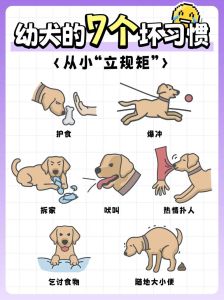 贱狗向主人磕头请安流程，狗狗磕头是爱的表达