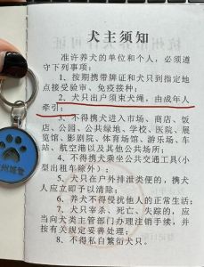 个人养大型犬要办什么证，养狗必须办证，依法养狗保平安