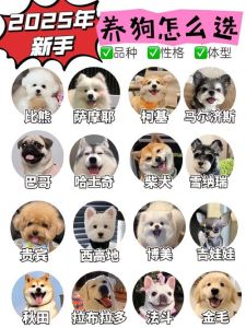 上海养狗规定，21种犬禁止饲养，电子狗牌管理更规范！