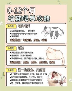 没满一岁的小猫可以吃猫条吗，小猫能吃猫条吗？幼猫零食喂食指南
