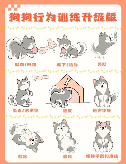 榨干指南(公狗的展示环节)by高污汪，网络奇奇怪怪内容，探索内心欲望边界