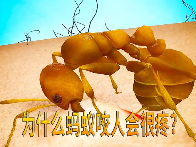 不知道蚂蚁从哪里钻出来咬人,蚂蚁突然咬人怎么办?防蚁小妙招来啦! 不知道蚂蚁从哪里钻出来咬人,蚂蚁突然咬人怎么办?防蚁小妙招来啦!