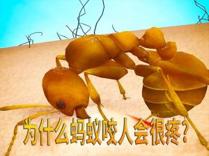不知道蚂蚁从哪里钻出来咬人，蚂蚁突然咬人怎么办？防蚁小妙招来啦！