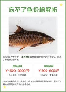 三道鳞鱼多少钱一斤，少刺好味，贵但鲜