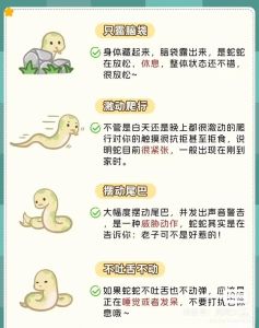宠物蛇走丢了怎么找，家里蛇丢了？别慌，教你怎么找！