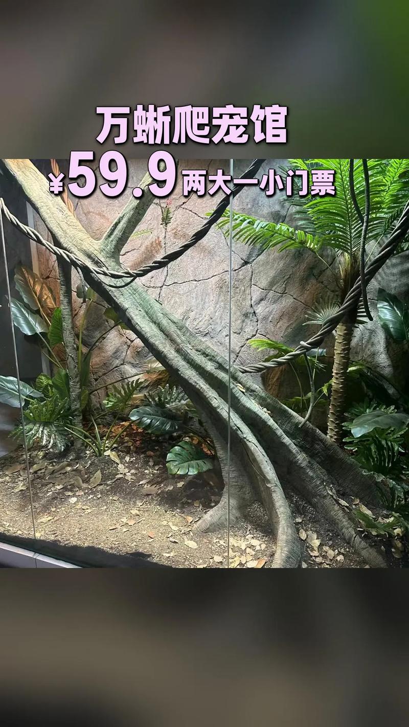 保定万蜥爬行馆图片,保定万蜥馆奇蜥多,自然博物馆化石多! 保定万蜥爬行馆图片,保定万蜥馆奇蜥多,自然博物馆化石多!