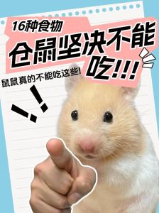 仓鼠吃核桃沙怎么办，偶尔给与，去皮防噎，健康第一