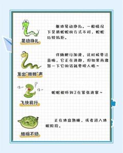 蛇养熟了会咬主人吗，蛇认人吗？养蛇要小心！