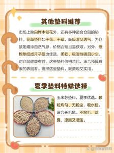 没有仓鼠粮了可以用什么代替，养好仓鼠，粮食水果蔬菜坚果都要搭！