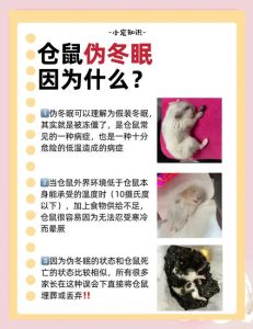 仓鼠能饿多久，仓鼠一般能饿3到5天，注意保暖防病保健康