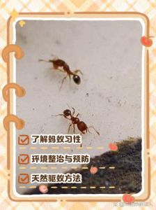 家有小蚂蚁怎么才能找到根源，家里有蚂蚁？简单几招搞定！
