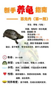 养爬宠赚钱吗，爬宠省心又特别，成瘾也需责任