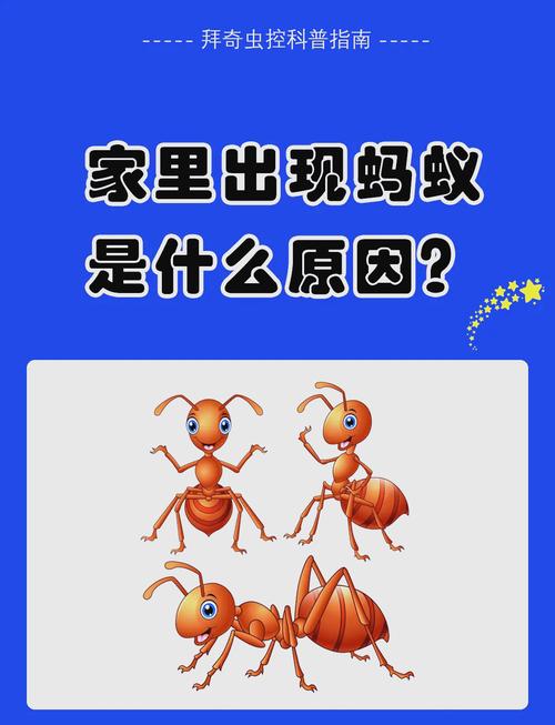 蚂蚁知道人的存在吗，蚂蚁察觉我们，但不懂我们是谁