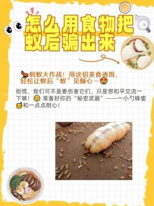 普通蚂蚁能吃吗，吞蚂蚁没事？小心拉肚子中毒！