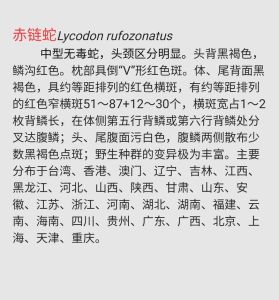 给我10种爬宠有毒的不包括蛇，警惕！这些异宠虽火但危险，养前必看！