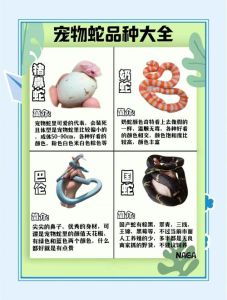 养蛇的十大害处,警惕!养宠物蛇隐患多,病菌病毒危险大,生态破坏伤人! 养蛇的十大害处,警惕!养宠物蛇隐患多,病菌病毒危险大,生态破坏伤人!