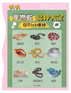 宠物眼镜蛇怎么养，冬天蛇不睡觉的秘密