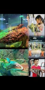 万蜥爬宠馆老板，专业养宠，科学喂养，带您了解非主流的魅力！