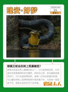 眼镜蛇的寿命，眼镜蛇寿命长，人工养殖能活更久