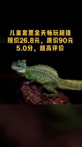 保定万蜥爬宠博物馆，保定万蜥爬宠+古动物博物馆，带孩子探秘！