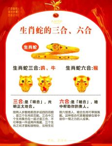 养公蛇好还是养母的好，养母蛇公蛇看目的，宠物选公文静，蛇种花销差价大