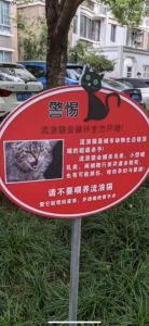 小区流浪猫增多扰民，物业应设固定喂猫点并绝育