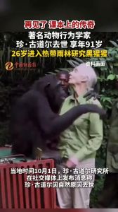 猩猩学说话变坏 人类实验的悲哀