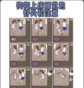 狗狗爱睡你床？原因超暖心！