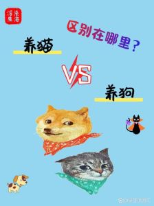 373期线上领养，健康猫狗等你带回家！