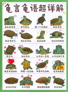 我家龟龟爱笑，你家的呢？