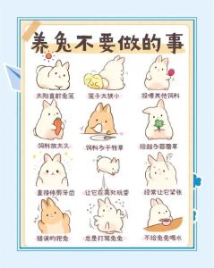 兔子麻醉注意事项 保命要点要知道