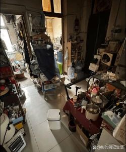 我家9条狗8住豪华窝，1条住破屋，主人 它太能拆家