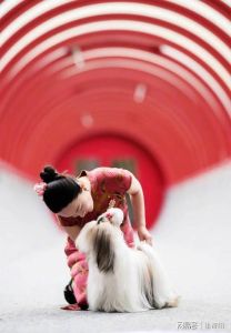 霍思燕带狗比利时夺冠，中国狗的一大里程碑！
