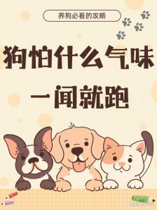 怕狗姑娘家添了只更怕她的狗，太逗了！