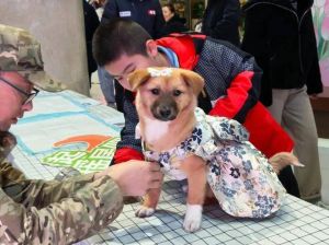 甘肃3功勋搜救犬退休，兰州市民可免费领养！