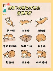 猫咪睡多正常，睡少或异常要当心！