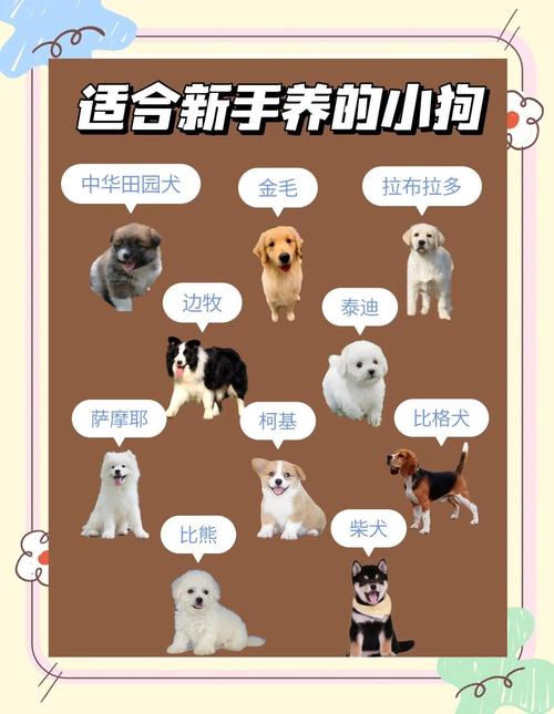 养娃又想养狗？3招教你娃狗安全相处！