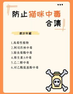 宠物误食药物怎么办？速查毒物并送医！