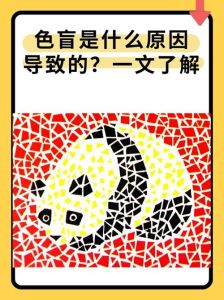 猫咪不色盲，蓝绿黄看得清，运动更敏感！