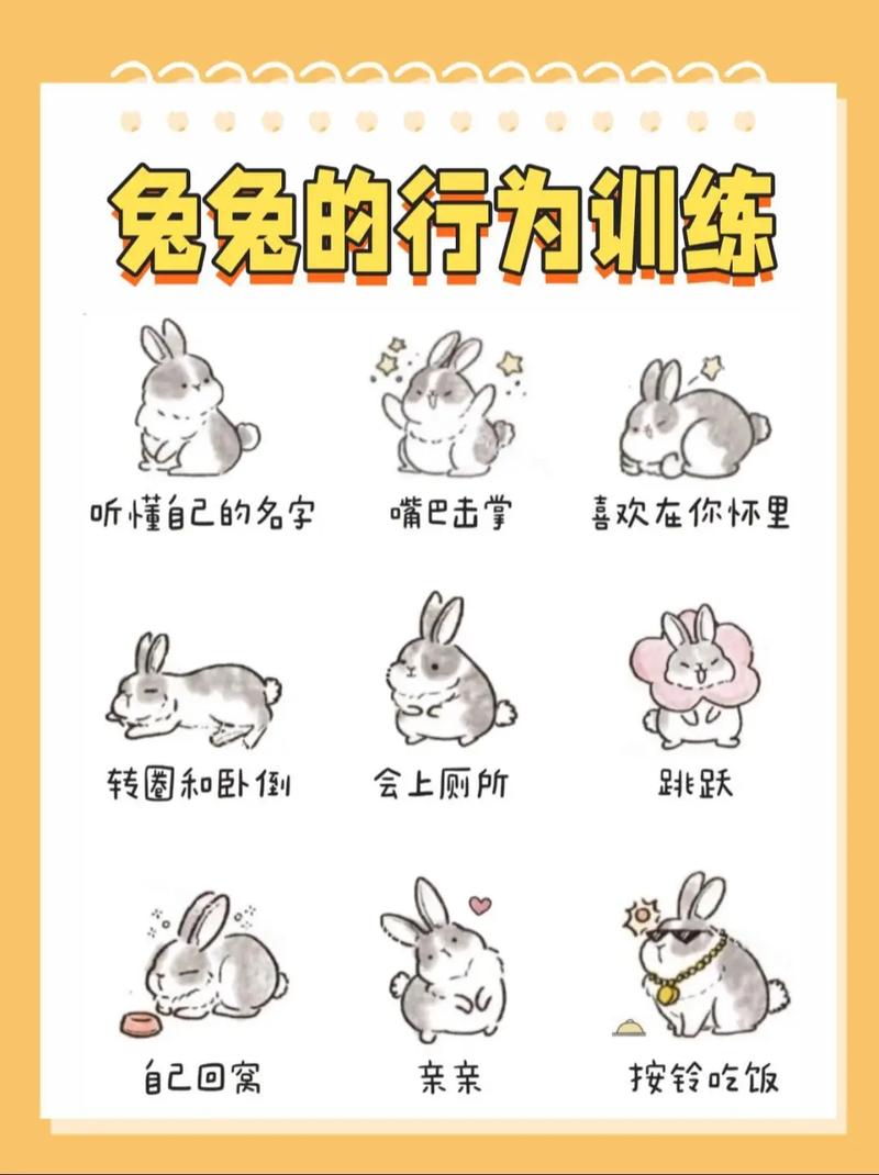 兔年摸兔腿顺口溜，摸兔腿猜谜语讨吉利