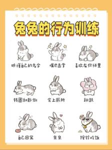 兔年摸兔腿顺口溜，摸兔腿猜谜语讨吉利