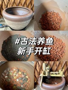 狗狗能感觉到主人不想养它么，狗狗超懂你，表情气味全看穿