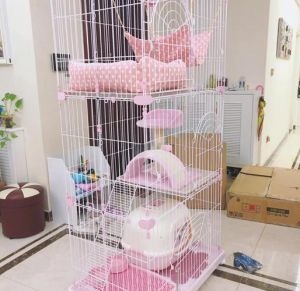 龙猫的笼子还能养什么，龙猫笼子怎么搭更快乐？