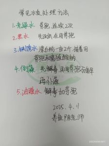 鱼塘新手入门养鱼常识，养鱼先清塘消毒 选对鱼种勤管理