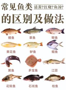 9条鱼最忌三种人，九鱼图吉祥，健康生活需平衡