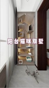 猫在封闭阳台养还是室内养好，室内养猫更安全，多花心思照顾更快乐
