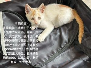 养了四只小猫有一只总在半夜来我身边叫，半夜猫叫怎么办？饿了渴了想陪它！